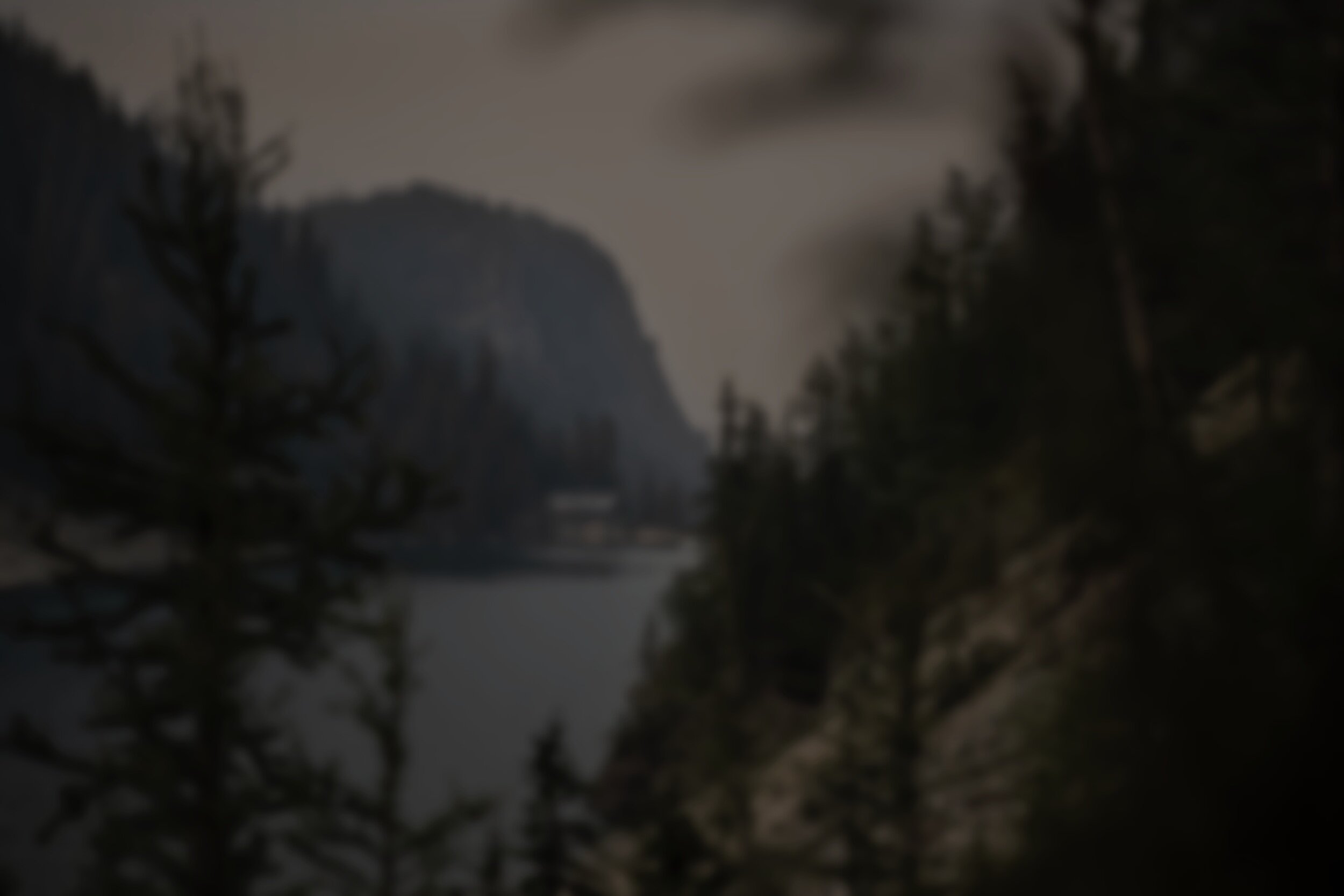 unsplash-image--P_-wiMMH2k.jpg